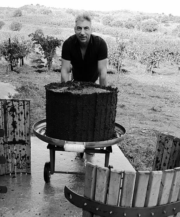 fermentacion fermentacion