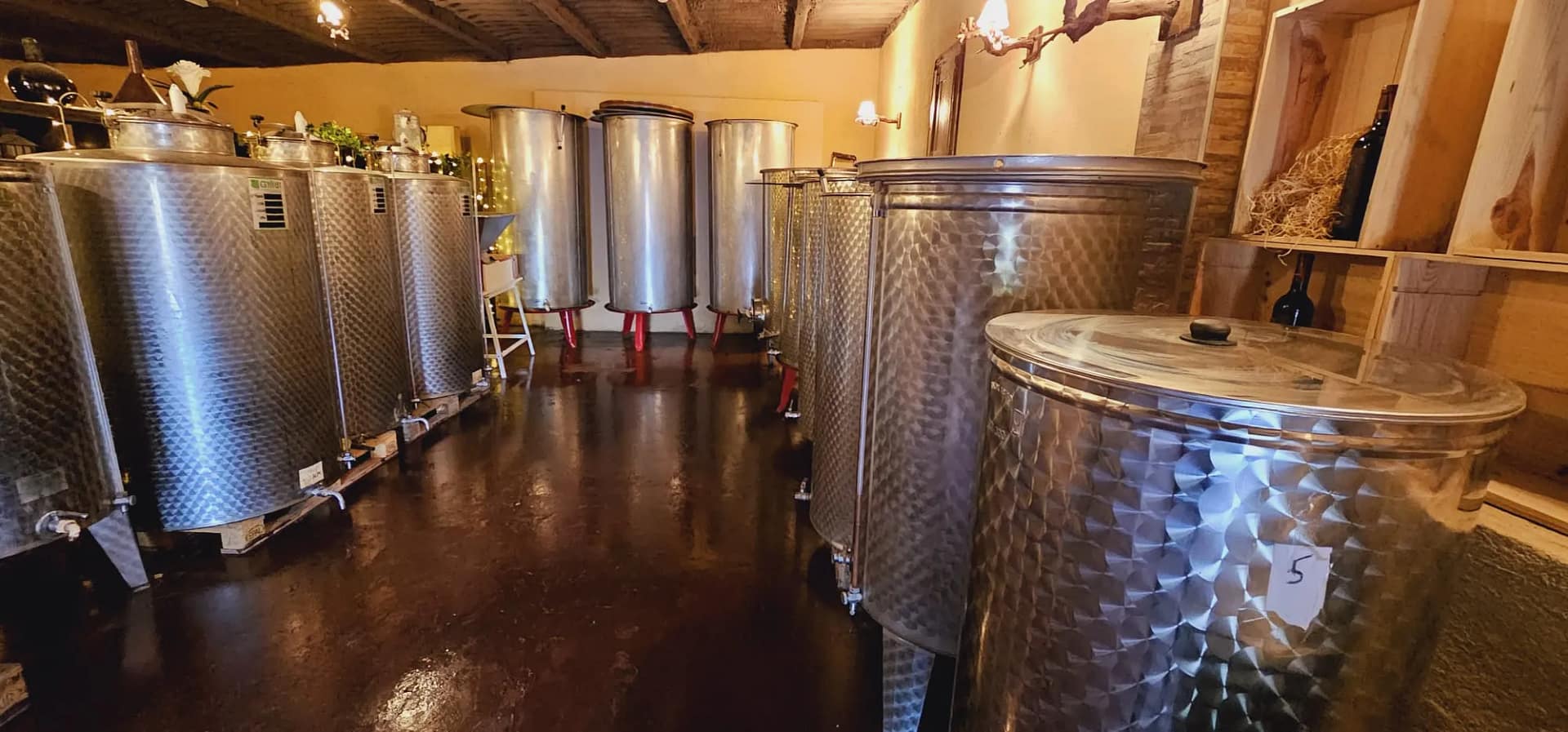 bodega 3 montsant bodega 3 montsant