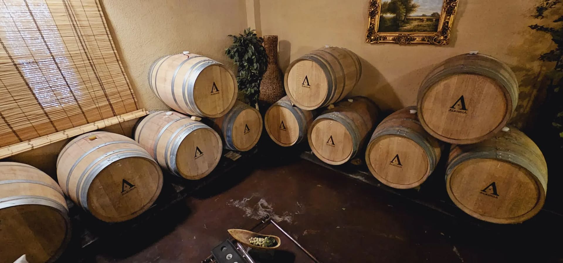 bodega 1 montsant bodega 1 montsant